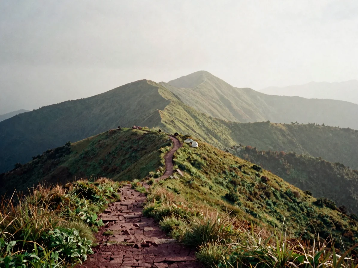 Wide environmental view of misty mountain ridgelines at soft morn